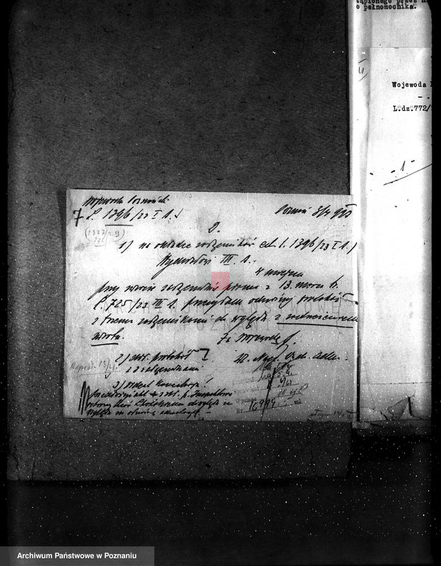 Obraz 11 z jednostki "Majętność leśna Pińsko powiat szubiński"