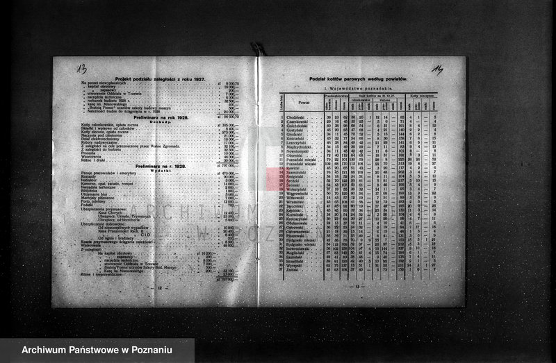 Obraz 12 z jednostki "Sprawozdanie Stowarzyszenia Dozoru Kotłów w Poznaniu za rok 1928"