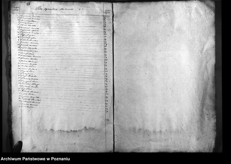 Obraz 15 z jednostki "Duplicatum natorum, copulatorum, mortuorum"
