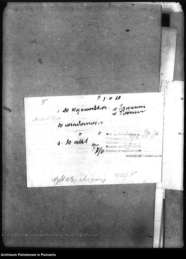 Obraz 9 z jednostki "Wykaz chorób zwierzęcych zaraźliwych w Rzeczypospolitej Polskiej"