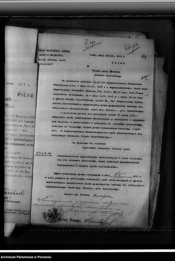 Obraz 18 z jednostki "Lasy majątku Brzeźno powiat koniński"