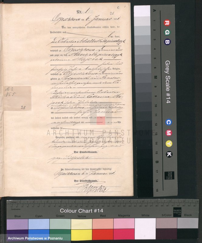 Obraz 4 z jednostki "Księga zgonów"