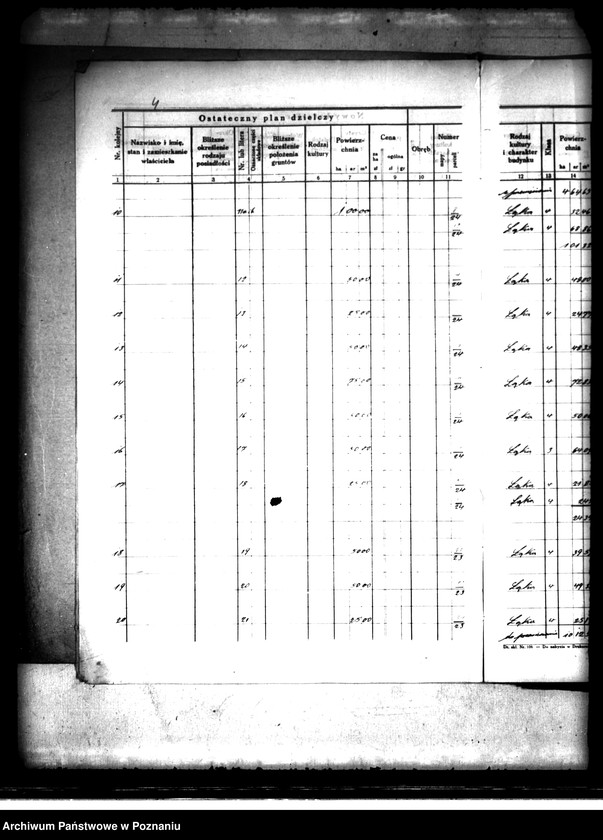 Obraz 8 z jednostki "Ostateczny plan dzielczy i nowy kataster majątku Trzcinica powiatu kępińskiego parcelacja prywatna"