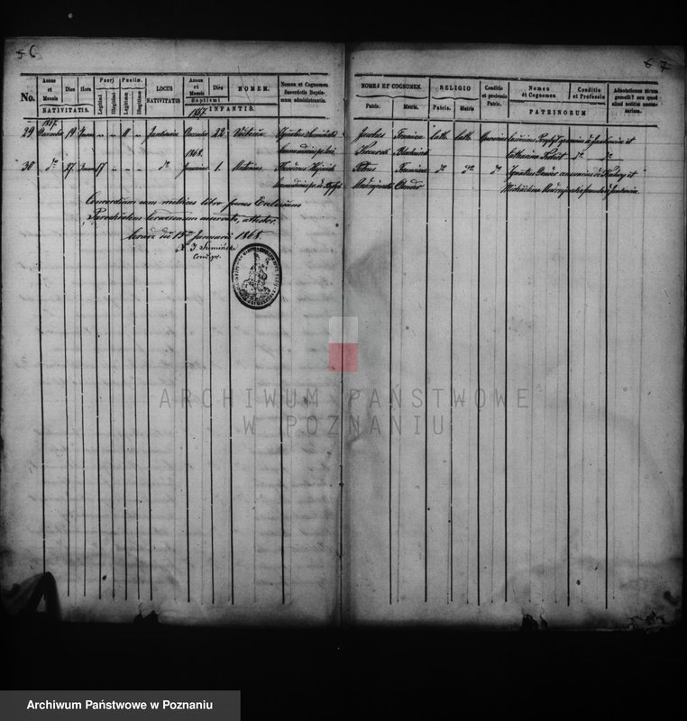 Obraz 6 z jednostki "Duplikat baptisatorum, copulatorum, mortuorum"