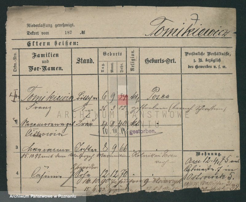 Obraz 17 z jednostki "Tomkiewicz - Tondel"