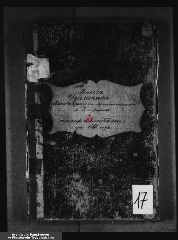 image.from.unit.number "[Księga duplikat aktów urodzonych, zaślubionych i zmarłych]"