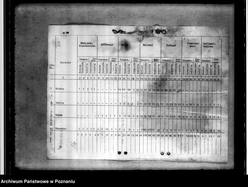 Obraz 20 z jednostki "Tierseuchenstand im Generalgouvernement"