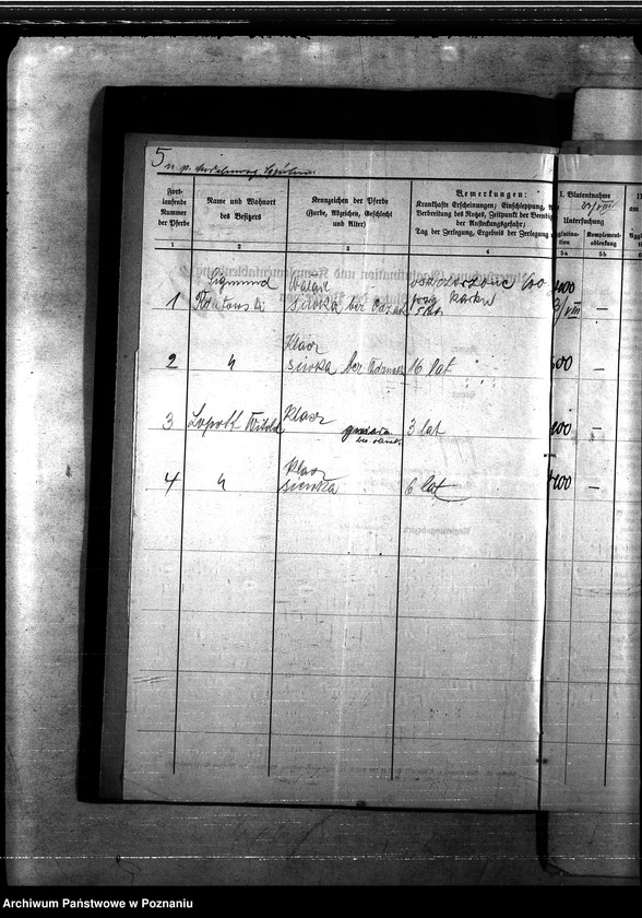 Obraz 9 z jednostki "Nosacizna - Sempolno"