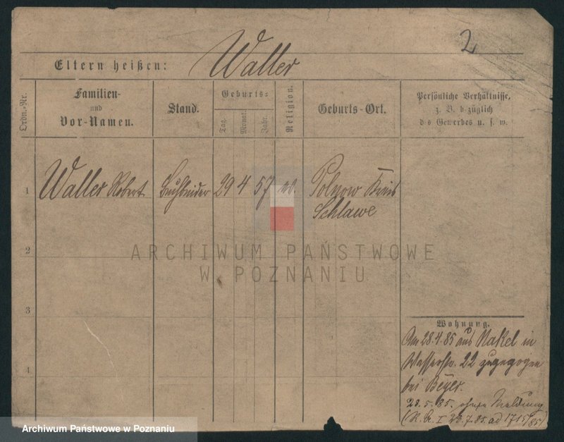 Obraz 7 z jednostki "Walter - Waligóra"