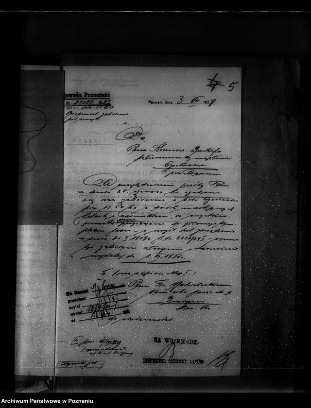 Obraz 9 z jednostki "Majętność leśna Czesławice powiat wągrowiecki własność Koerner"