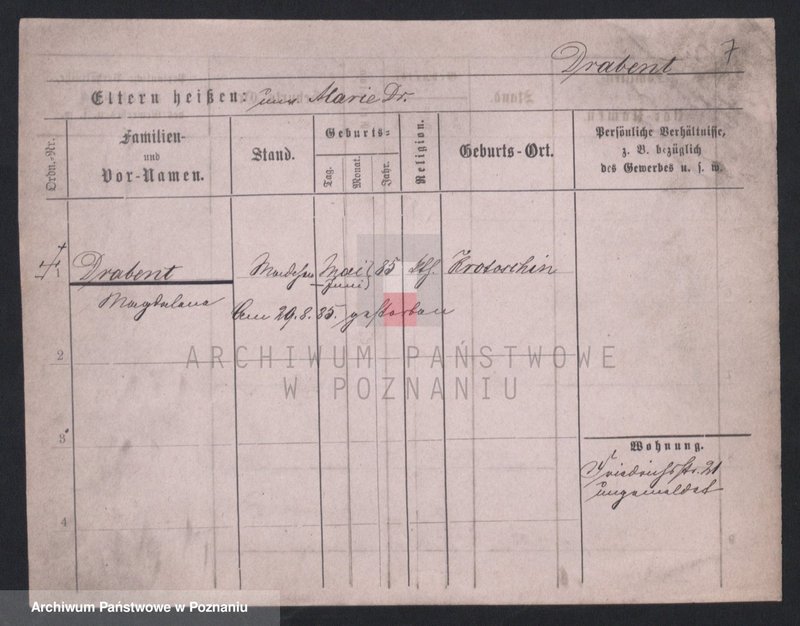 Obraz 9 z jednostki "Dornat - Drachowski"