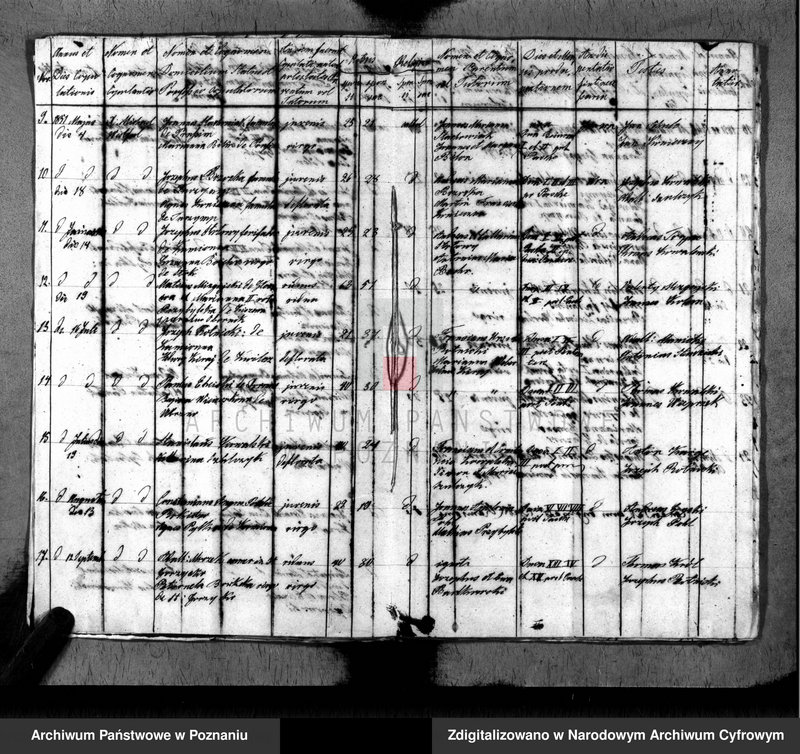 Obraz 5 z jednostki "Duplikat baptisatorum, copulatorum, mortuorum"