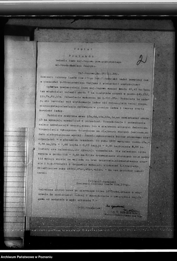 Obraz 6 z jednostki "Nadzór nad gospodarką w lasach majętności Rogowo w powiecie gostyńskim"