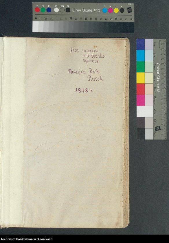 image.from.unit.number "Duplikat uroždennych, brakosocčtavšichsja i umeršich punskago katolicčeskago prichoda za 1878 god"