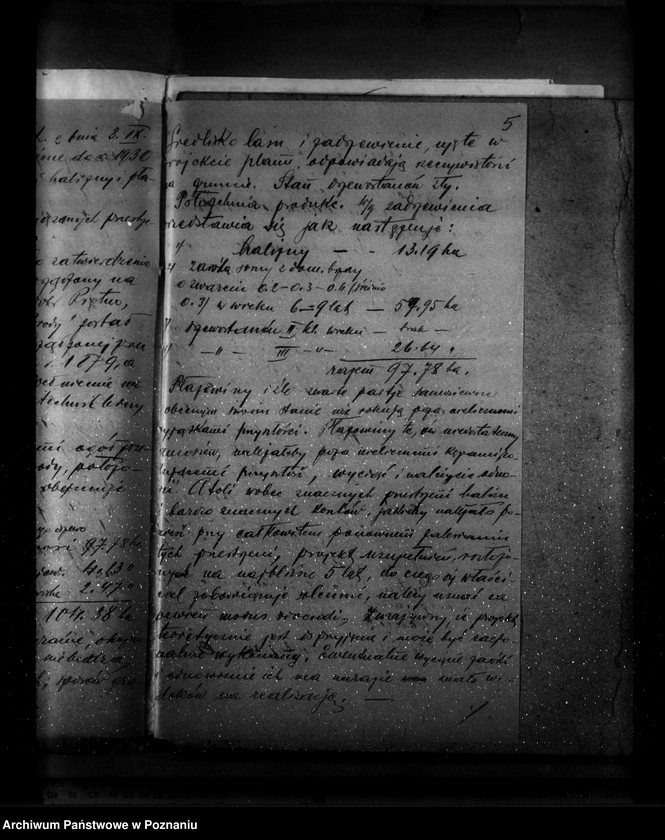 Obraz 9 z jednostki "Zatwierdzenie planu gospodarstwa leśnego dla majątku Brody powiatu tureckiego"