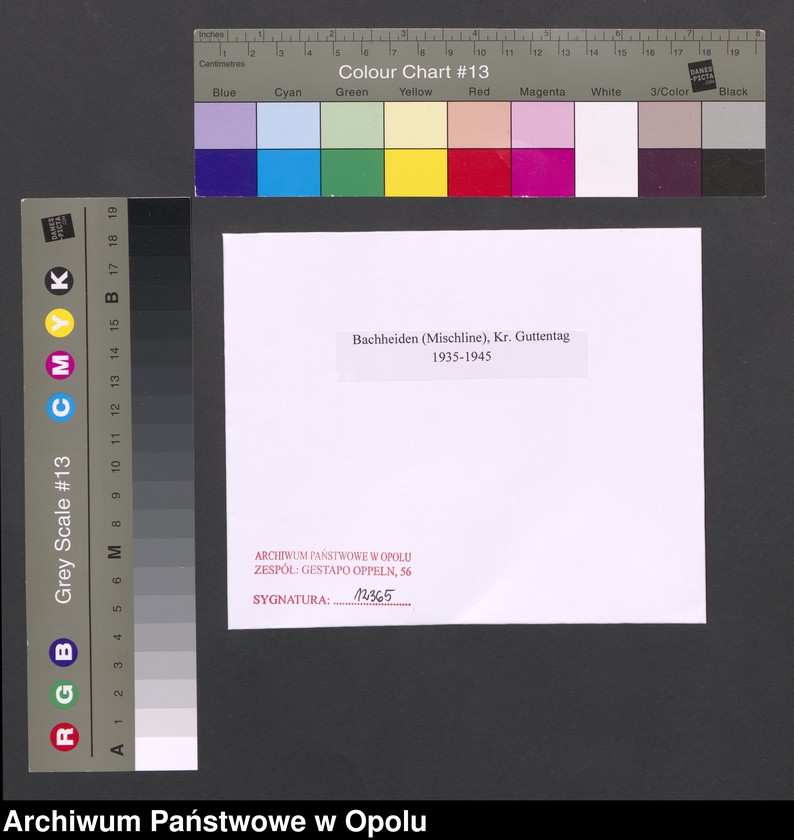 Obraz 2 z jednostki "Bachheiden (Mischline), Kr. Guttentag"