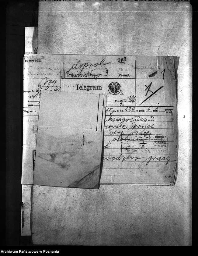 Obraz 6 z jednostki "Księgosusz - Chełmno"