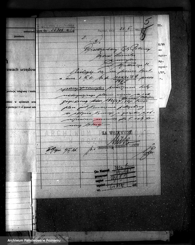 Obraz 9 z jednostki "Majętność leśna Potulice powiat wągrowiecki"