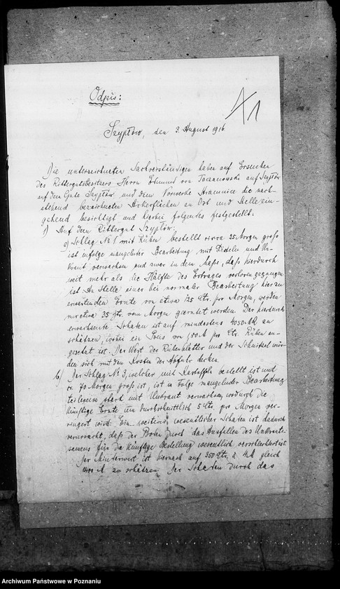 Obraz 5 z jednostki "Majątki zaniedbane"