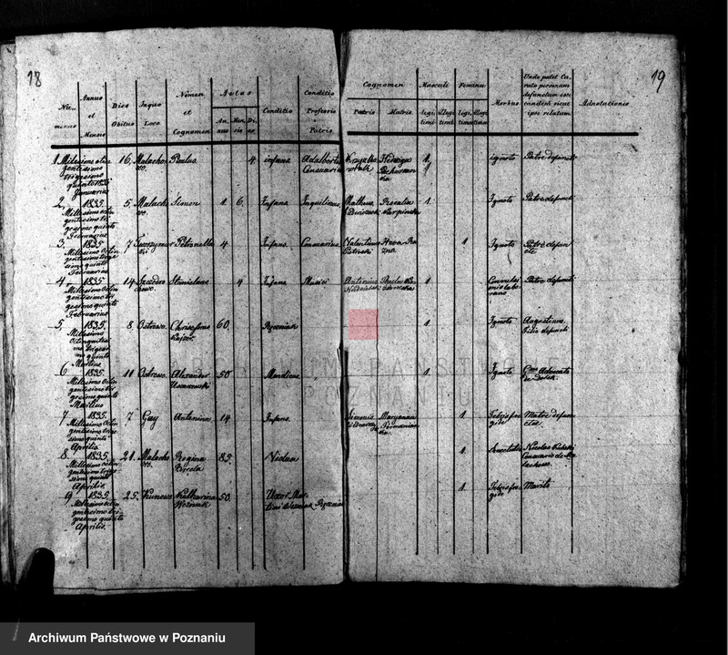 Obraz 12 z jednostki "Liber baptisatorum, copulatorum, mortuorum"
