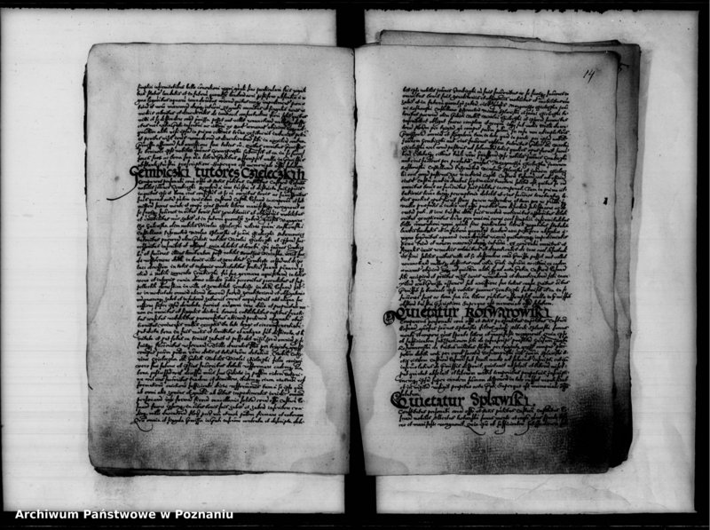 Obraz 17 z jednostki "Inscriptiones, relationes [inducta]"