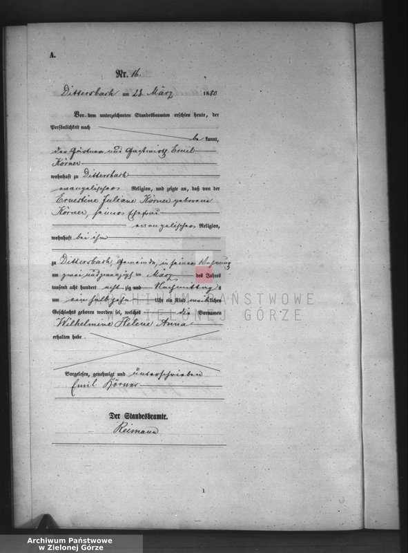 Obraz 19 z jednostki "[Księga aktów urodzeń]"