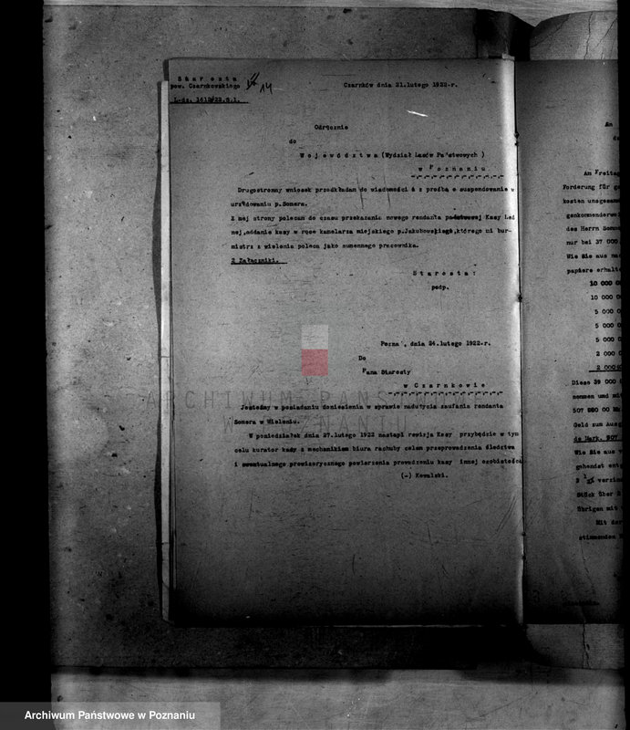 Obraz 20 z jednostki "Administracja miasta Wielenia"