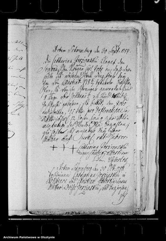 image.from.unit.number "Schönbergsche Patrimonial Gerichts-Protokolle in Ehe- und Alimentations-Sachen"