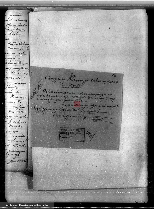 Obraz 20 z jednostki "Sprawa nieprawego wykarczowania lasu i zamiana go na użytek rolny w lasach majątku Dęby Szlacheckie własność P. J. Żeromskiego"