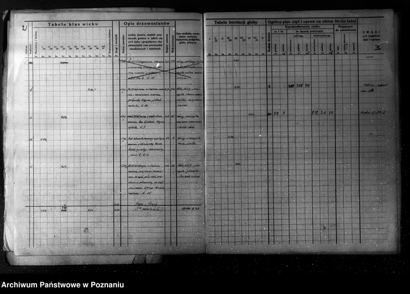 Obraz 6 z jednostki "/Plan urządzania gospodarstwa leśnego dla lasu majątku Turew powiatu kościańskiego 1933-1943/"
