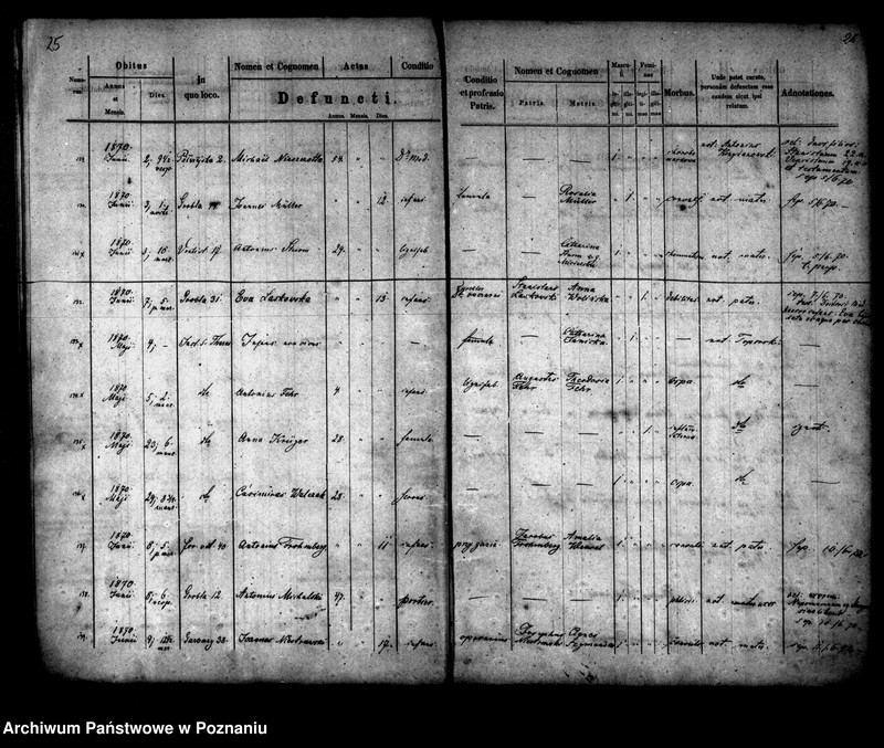 Obraz 14 z jednostki "Księga zgonów"