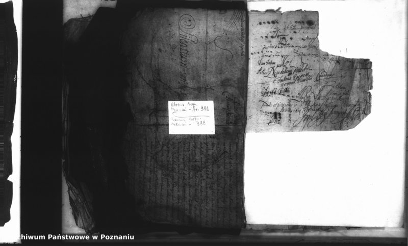 Obraz 4 z jednostki "Relationes [protocollon]"