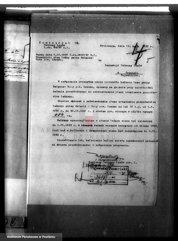 Obraz 9 z jednostki "Las gromady Belęcin-Nowy powiat leszczyński"