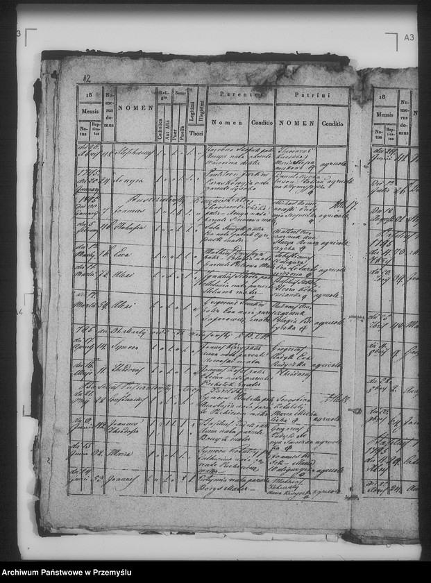 Obraz 17 z jednostki "[Kopie ksiąg metrykalnych parafii Żabcze Murowane z filią Bezejów (dekanat Bełz)]"