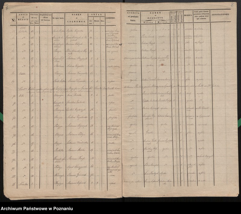 Obraz 6 z jednostki "Index mortuorum"