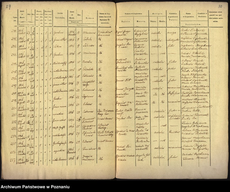 Obraz 17 z jednostki "Księga urodzin"