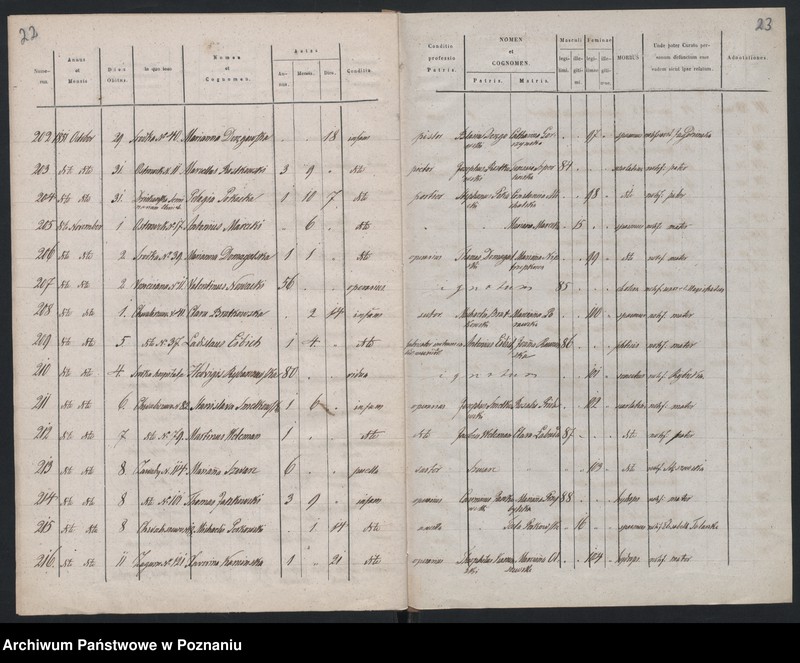 Obraz 14 z jednostki "Spis zgonów"