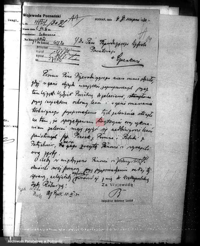 Obraz 18 z jednostki "Zalesianie nieużytków w powiecie czarnkowskim"