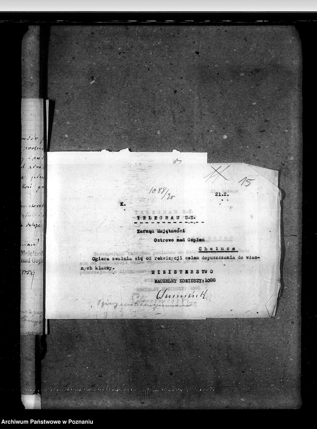 image.from.unit.number "Sprawy stadnin ogiery nielicencjonowane"