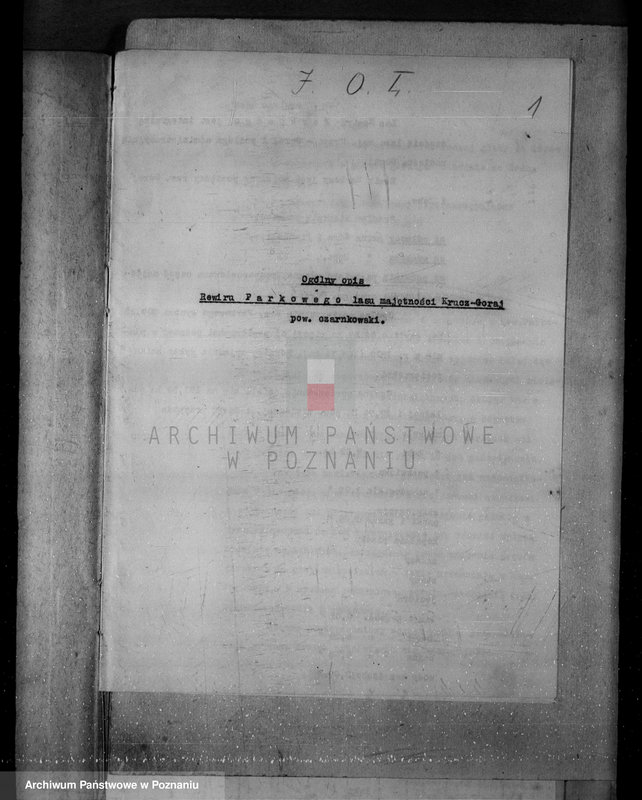 Obraz 5 z jednostki "/Nadzór nad gospodarką w lasach majątku Krucz-Goraj w powiecie czarnkowskim"