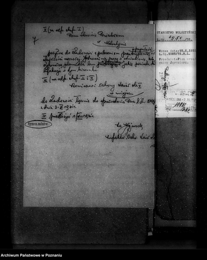 Obraz 12 z jednostki "Las gminy Jaromierz powiat wolsztyński"