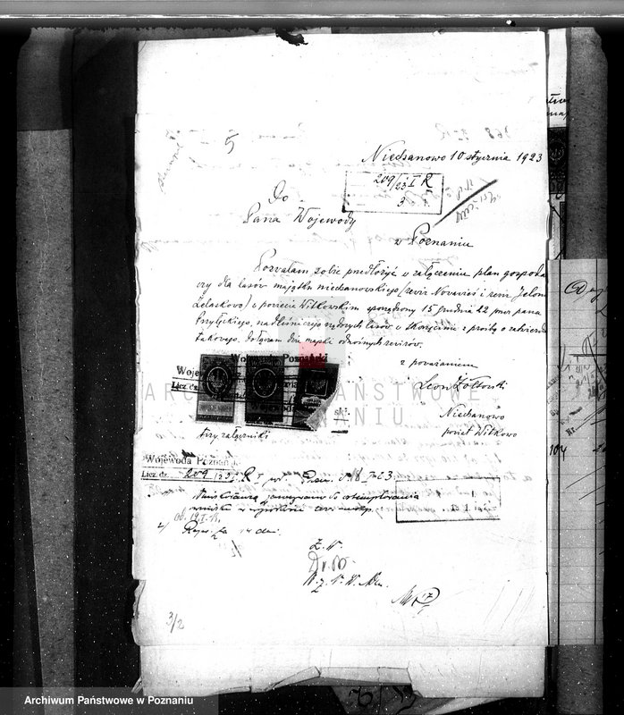 Obraz 9 z jednostki "Majętność /leśna/ Ni echanowo w powiecie gnieźnieńskim"