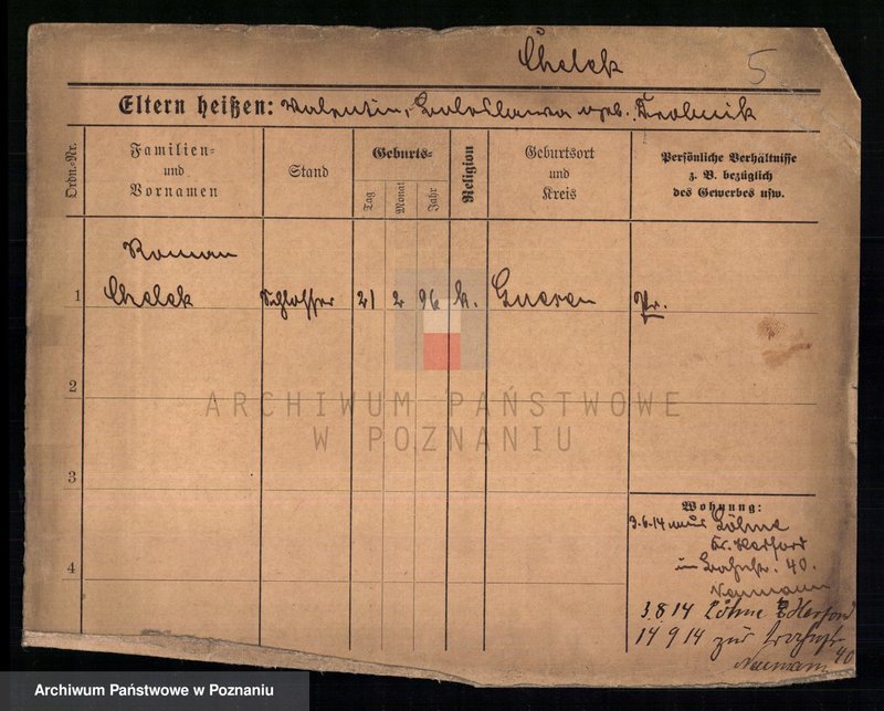 Obraz 7 z jednostki "Chelek - Chmella"