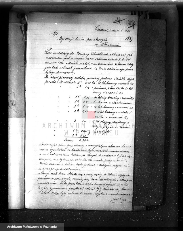 Obraz 18 z jednostki "Drzewostan na majątku państwowym Chwałkowo powiat średzki"