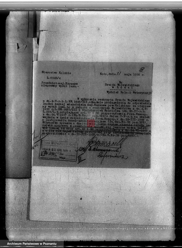 Obraz 12 z jednostki "Sprawa nieprawego wyrębu lasu w majątku Karczew w powiecie kolskim"