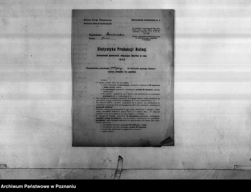 Obraz 7 z jednostki "Statystyka produkcji rolnej - zestawienie z powiatu żnińskiego"