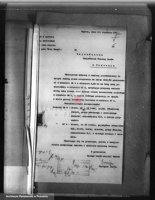 Obraz 11 z jednostki "Majętność leśna Wąsowo w powiecie nowotomyskim"