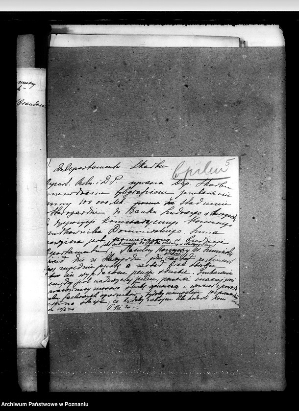 Obraz 9 z jednostki "Zarząd Stadnin Starogard"