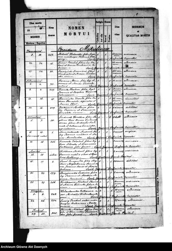 image.from.unit.number "Parafia: Mikulińce. Dekanat: Trembowla. Księga metrykalna urodzeń, ślubów i zgonów dla miasta Mikulińce i wsi: Konopkówka, Krzywki, Łuczka, Wola Mazowiecka, Ładyczyn*, Ludwikówka*, Myszkowice**, Czartorja**, Łuka Wielka**."