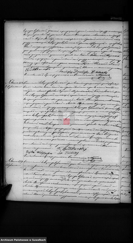 image.from.unit.number "Dobavočnaja Kniga dublikat aktov graždanskago sostojanija Suvalkskago Evrejskago Okruga na 1878 god Tom II"